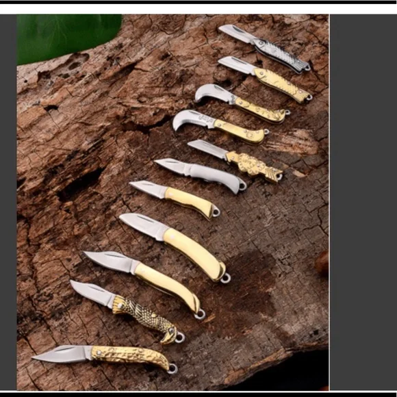 Mini Stainless Steel Folding Knife Keychain - Picture 2 of 6